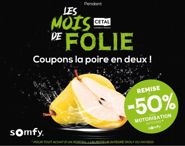Promotion sur motorisation portail SOMFY